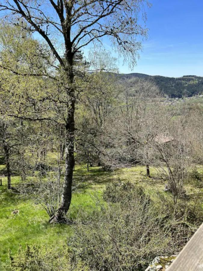 Chalet La Parenthese Le Tholy